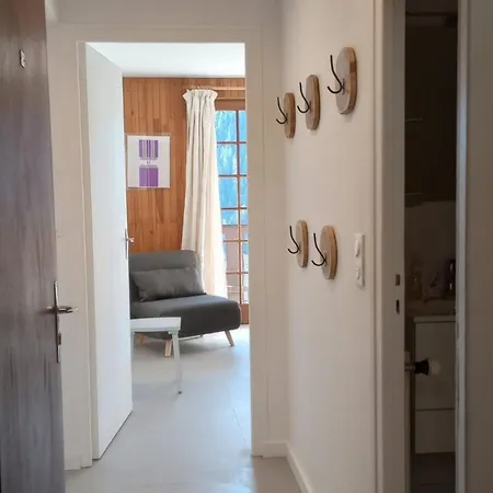 Chatel: Appt Cosy 2 Pieces 5 Pers, Pres Centre Et Remontees - Fr-1-676-199 Apartment Chatel